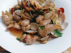 辣炒青岛小花蛤-船歌·鱼水饺青岛菜(枫蓝国际购物中心店)