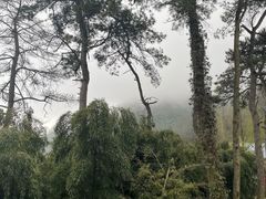 -莫干山风景区