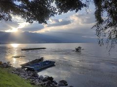 -洱海月湿地公园