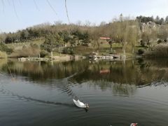 -鹦鹉寺公园