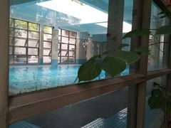 -DBSWIM深呼吸国际游泳培训(建国宾馆店)