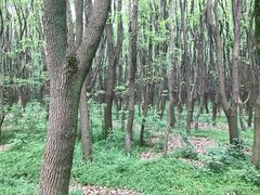 -同里国家湿地公园