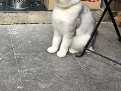 -飞马旅黎黄陂路文旅街区