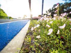 -苏州吴中太湖旅游区