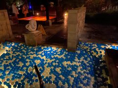 -春晖园度假酒店温泉