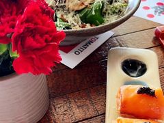 -TOMATITO(无限极荟店)