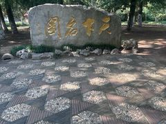 -水绘园