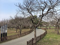 -洨河生态公园