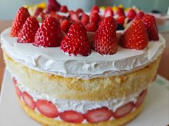 -维尔纳斯·生日蛋糕动物奶油冰淇淋蛋糕(人大店)