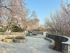-桃花堤公园