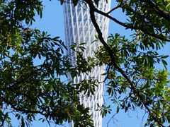 -二沙岛艺术公园