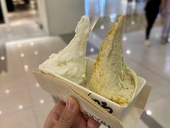 -野人先生Gelato(上海长宁龙之梦店)