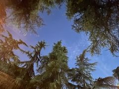 -四川大学(华西校区)