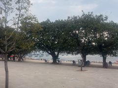 -抚仙湖禄充风景区