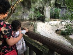 -清迈夜间动物园