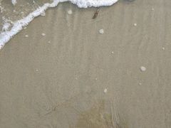 -北海金海湾红树林生态旅游区