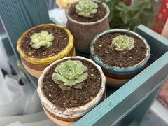 -花匠花艺鲜花店(尹山湖店)