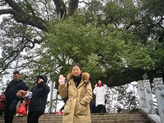 -新安江山水画廊风景区