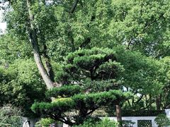-上海醉白池公园