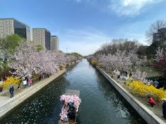 -元大都城垣遗址公园