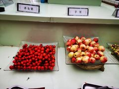 -龙达温泉生态城