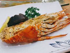 -红叶日本料理(辰熙广场店)