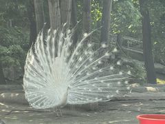 -哈尔滨北方森林动物园