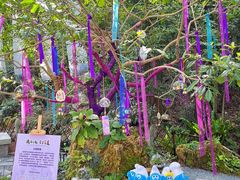 -深圳仙湖植物园