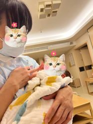 -广州安和泰医学月子会所