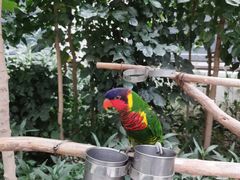 -南宫五洲植物乐园