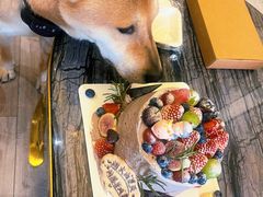 -EnergyCake蛋糕理想国