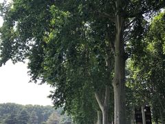 -河南省黄河迎宾馆