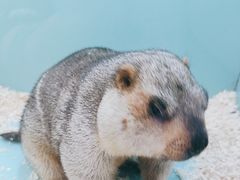 -FAIRYLAND龙族星球主题餐厅(凯丹广场店)