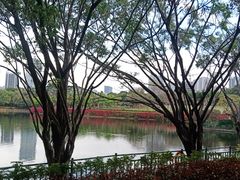 -深圳龙潭公园