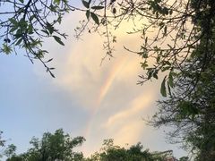 -成都七中(林荫校区)