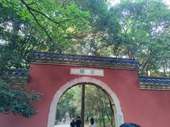 -灵谷景区