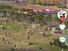 -约翰·菲茨杰拉德·肯尼迪国际机场