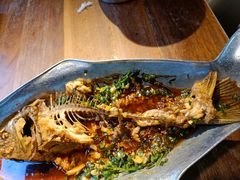 -树厨贵州菜(铜仁花果山店)