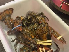 -鱼乐轩海鲜专门店