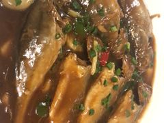 -启东8号海鲜(五角场店)