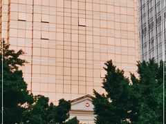 -广州中国市长大厦