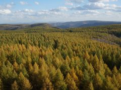 -塞罕坝国家级自然保护区