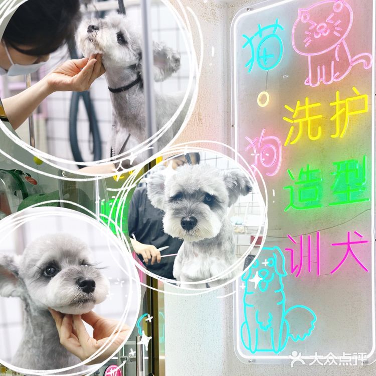 靠谱的宠物店