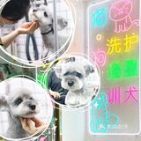 靠谱的宠物店