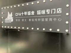 -十年猫舍·猫咪专门店(普陀店)