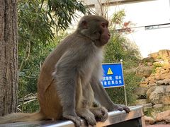 -黔灵山公园