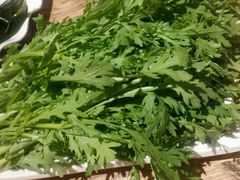 -草原羊羊蝎子火锅(贵州街店)