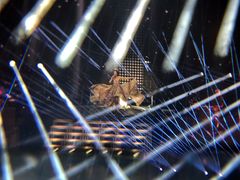 -成都金融城演艺中心