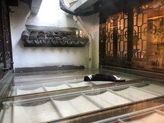 -猫的天空之城概念书店(杭州南宋御街店)