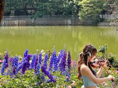 -人民公园(罗湖区)